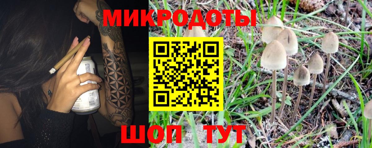 Каменск-Уральский  Псилоцибиновые грибы MAGIC MUSHROOMS  Псилоцибиновые грибы мицелий  Вход с VPN 