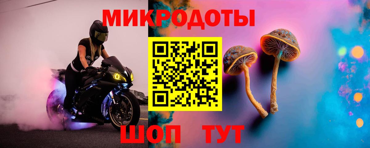 Галлюциногенные грибы мухоморы Каменск-Уральский